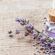 Especialista indica: para um descanso melhor, use óleo de lavanda