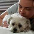 Estamos prolongando demais a vida dos nossos pets?