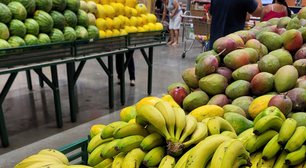 Desafio: janeiro vegano, dicas dos veganos periféricos