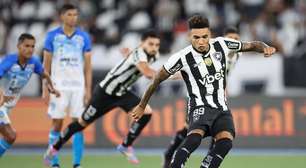 Botafogo enfrenta Capital-DF com time misto e foco na sequência da temporada