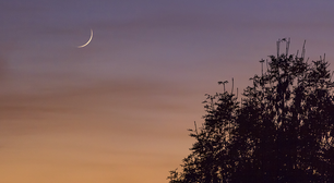 Lua Nova e montanha-russa emocional nas previsões da semana de 22 a 28/06