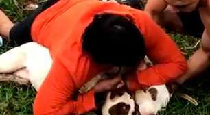 Professor de muay thai se salva de ataque de pitbulls após imobilizá-los: 'Vi a minha vida passar'