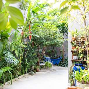 Palmeiras, dracenas, marantas e pacovás compõem esse jardim exuberante