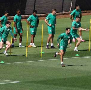 Palmeiras avalia mudanças no sistema ofensivo contra o Botafogo