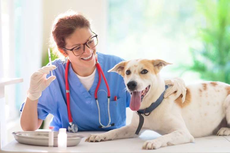 As consultas de rotina ajudam a manter o calendário vacinal do pet em dia 